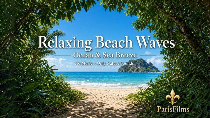 Relaxing Beach Waves Calm Ocean Sounds for Sleep, Study & Stress Relief