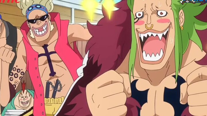 fan trung thành của nhóm luffy