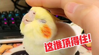 撸鸟的时候突然停手，看谁先顶不住，我忍得太难受了～