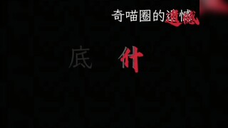 奇喵君刀子来啦！