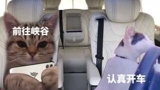 When I sit in the passenger seat of my chauffeur