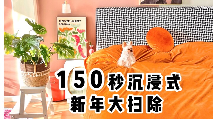 150 ثانية من التنظيف الغامر | هل التنظيف الكبير للعام الجديد مريح وملهم إلى هذا الحد؟