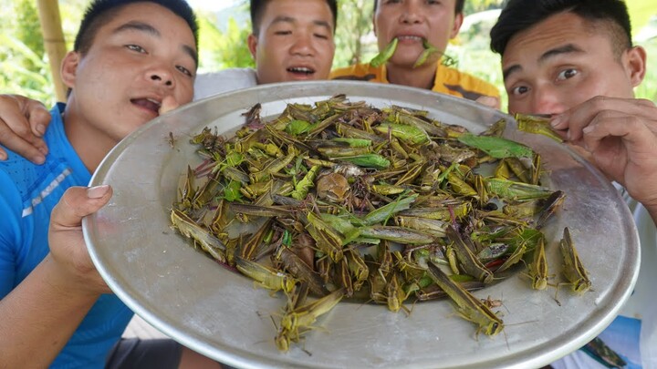 MÂM BỌ NGỰA, CHÂU CHẤU