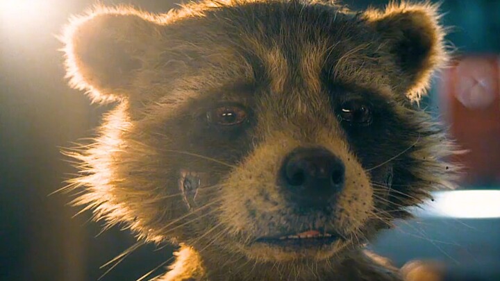 In fact, it hurts when the rabbit speaks, but at that moment, the rocket has been escaping quickly.