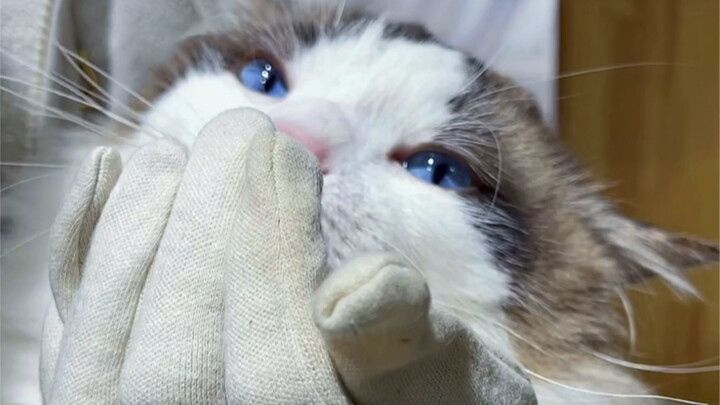 เคล็ดลับหาเงินง่ายๆ วันละข้อ!