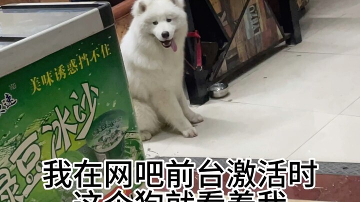 [Net Cafe Adventure Part 1] Just wanted to go online, but ended up taking someone’s dog out for a wa