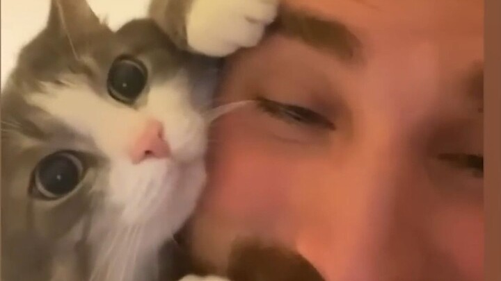 When a friend asks: Why did you choose to adopt a cat?