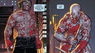 Daredevil vs Wolverine