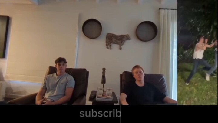 INSANE STREET FIGHT (The Chimps React)