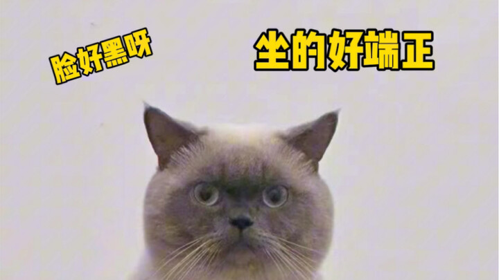 Who else gets it—buying a little black coal ball just because of an online image?