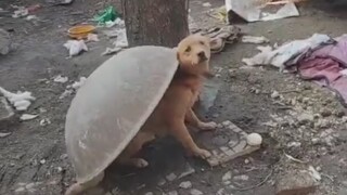 Halo, kamu baik-baik saja?