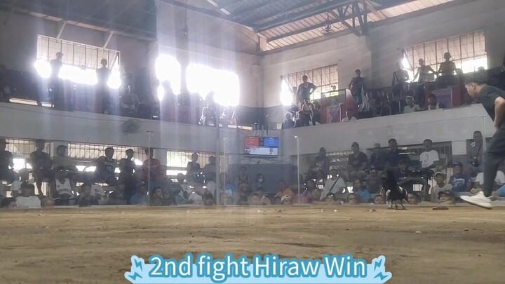 WWLWLWW JUNE1 2ND FIGHT Win