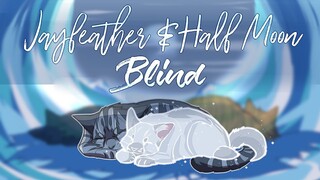 ◁ WARRIORS ▷ Jayfeather & Half Moon | Blind | PMV