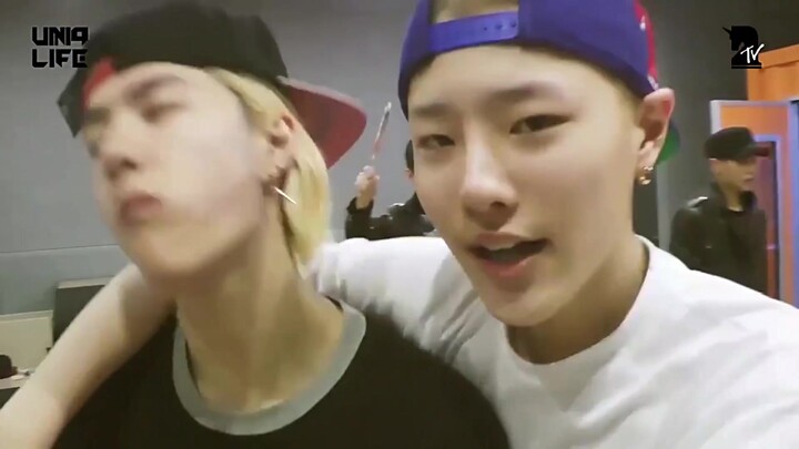 【UNIQ-Lion Line】Fast-forward to see two little lions having a blast/going wild (bushi, I didn’t mean
