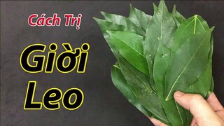 Chỉ sau 1 đến 2 ngày bệnh giời leo nặng đến cỡ nào cũng phải khỏi ngay tức khắc