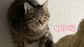 ง่วงจนลืมตาไม่ขึ้น ก็ยังต้องรอแมวน้อยของแม่