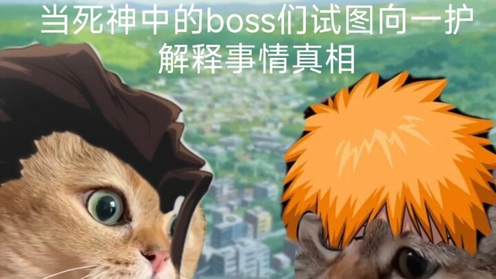 BLEACH, but cats talk