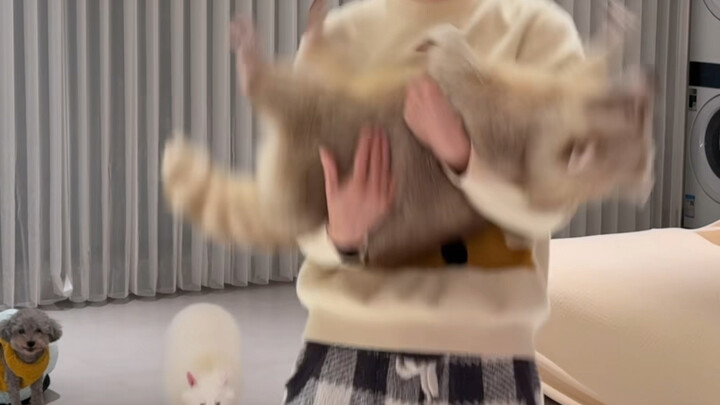 Xem tôi ôm gấu mèo thế nào nè!