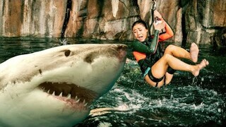 The Diving Adventure Of Four Girls Becomes A Nightmare When They Confront Giant Sharks!