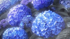 Omoi, Omoware, Furi, Furare [480p]