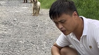 The sequel is here! Humans and animals should live in harmony