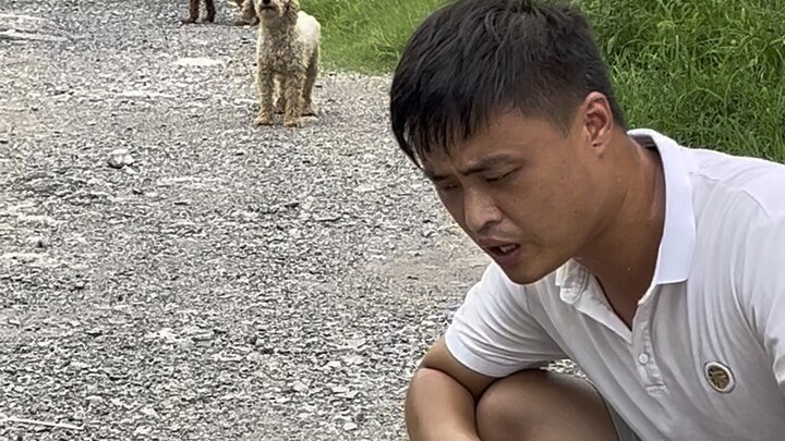 Sekuelnya sudah hadir! Manusia dan hewan seharusnya hidup rukun.