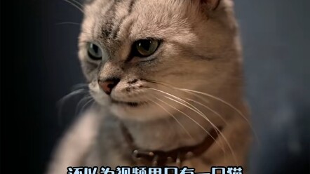 Tôi nghi ngờ mắt mình.