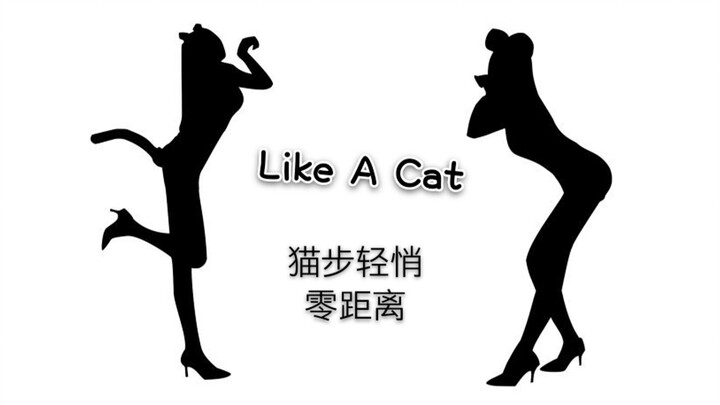 【轩哥】史上最近竖屏 极度舒适谁有我离你近Like A Cat AOA猫步轻悄性感韩舞翻跳