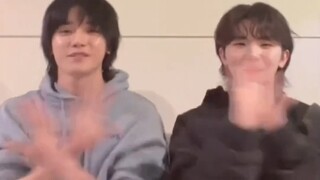 Three chas in a row!!! Today is Chinese New Year!!!