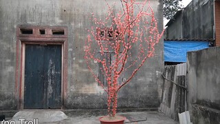 Hưng Troll _ Làm Cây Hoa Đào Khổng Lồ Bằng Nến Tặng Mẹ Bà Tân Vlog Đón Tết