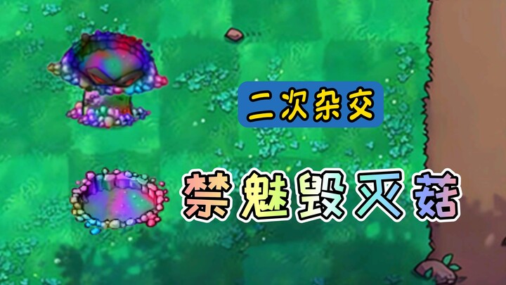 التهجين الثانوي 4: فطر الدمار الساحر المحرّم