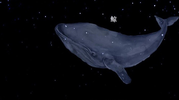 คุณจะร้องไห้ด้วยความเหงาที่ปวดร้าวเมื่อวิญญาณของคุณตกลงไปในร่างของปลาวาฬ เพลงต้นฉบับ "Whale" เป็นเรื