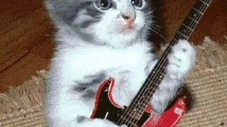 Bakit uhaw sayong sayaw~ copy right.