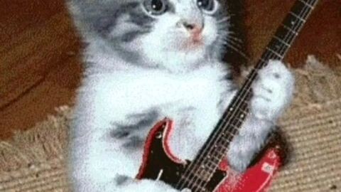 Bakit uhaw sayong sayaw~ copy right.