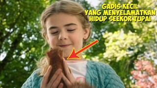 Kisah Persahabatan Gadis Kecil Baik Hati Dengan Tupai Kesayanganya | Alur Cerita Film
