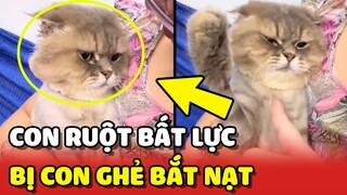 Hoàng Thượng BẤT LỰC chỉ dám núp sau mẹ vì bị CON GHẺ BẮT NẠT 😂 | Yêu Lu