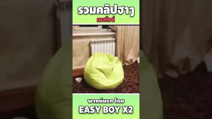 รวมคลิปฮา พากย์นรก #short #easyboy #คลิปฮา #เบสไวน์