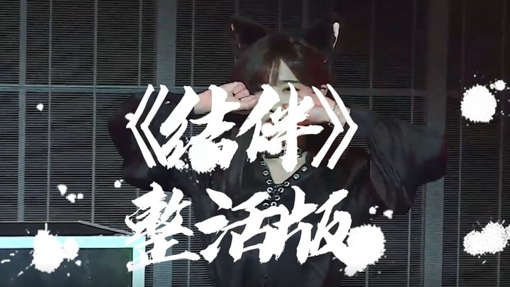 【奉天承芸】深夜整活版《结伴》 | 不一样的结伴，一样的人！