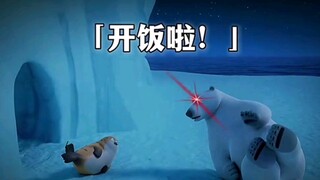这些海豹太搞笑了
