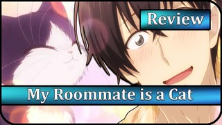My Roommate is a Cat Anime Review | Enough to Make Your Heart Melt