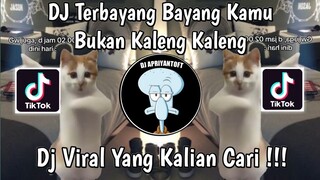 DJ TERBAYANG BAYANG KAMU TREND KUCING JOGET | DJ BUKAN KALENG KALENG BY ARYA FVNKY VIRAL TIKTOK 2024