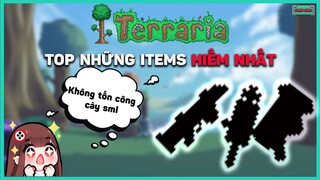 TOP item siêu HIẾM trong TERRARIA