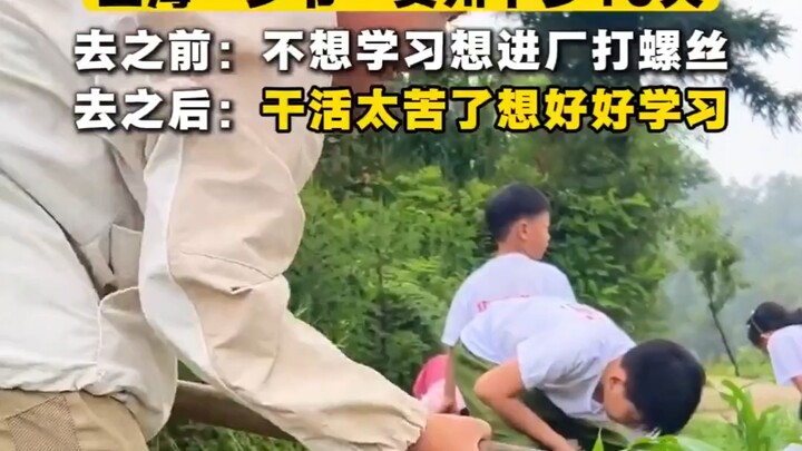 คำพูดจริงใจและการเติบโตที่แท้จริงในค่ายฤดูร้อนกลางหุบเขา