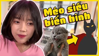 MÍU, MÉO, NGÁO BỊ MẸ LINH CẠO TRỤI LÔNG NHƯ THẾ NÀO?