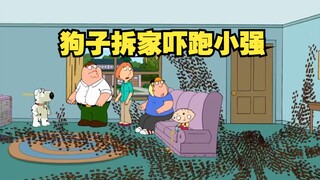 【呆】拆就完了，布莱恩终于意识到自己是只狗了