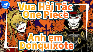 Vua Hải Tặc One Piece| [Ăn mừng sinh nhật] Anh em _3