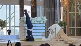 【地球生物搞笑日常#165】（纯净版）