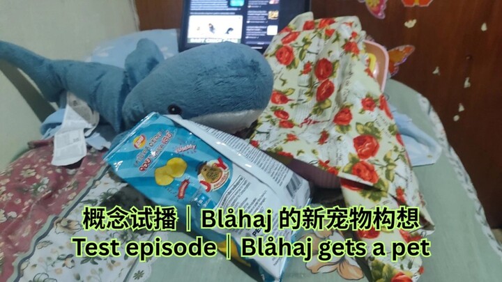 概念试播｜Blåhaj 的新宠物构想 (test episode: Blåhaj gets a new pet