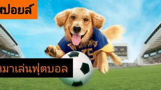 หมาเล่นฟุตบอล Air Bud 3 ซุปเปอร์หมา กึ๋นเทวดา ภาค 3 สปอยล์