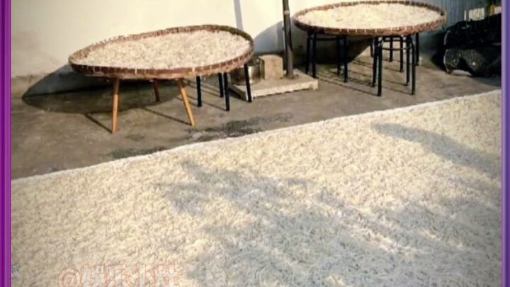 Lê Lê Nguyên Thượng Phổ